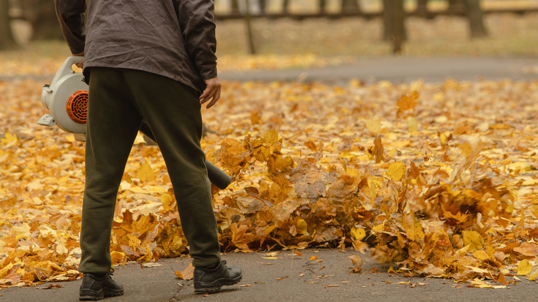 Person using a leafblower and blowing leaves off the sidewalk