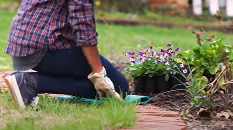 kneeling on pad at garden