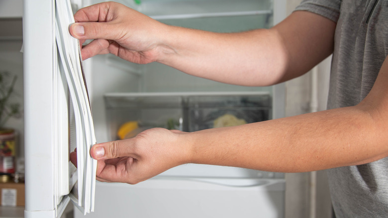 Loose freezer door seal