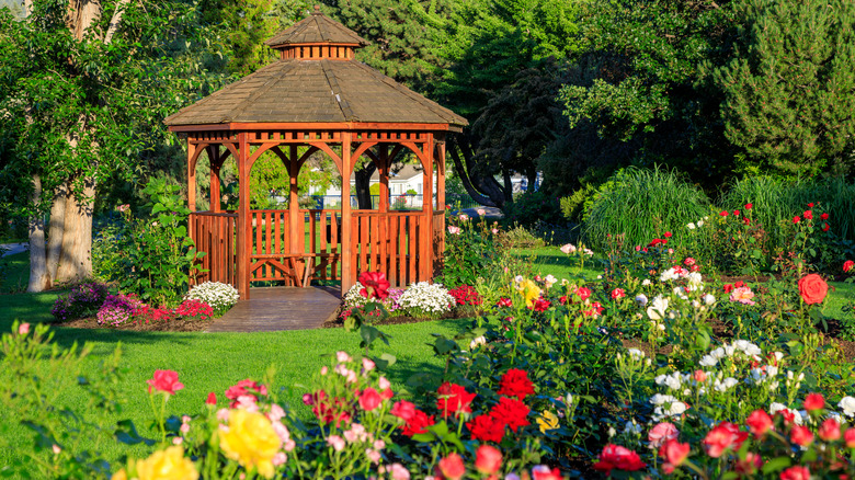 thriving rose garden with gazebo