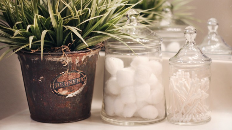 a potted plant and jar of cotton balls