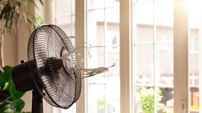 An electric fan blows in a sunny room with plants and windows in the background