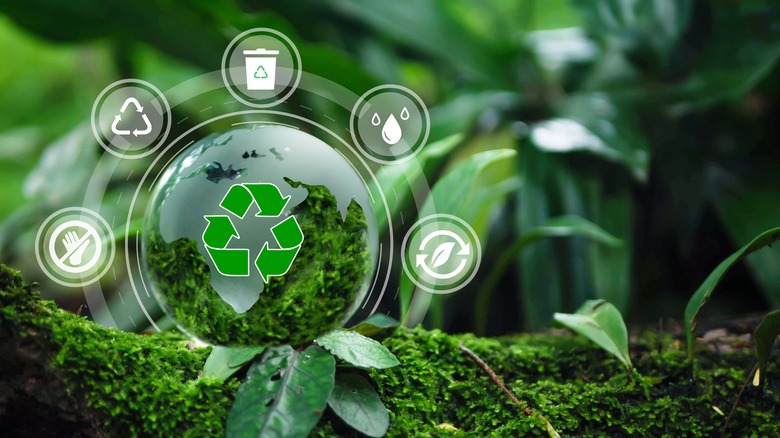Zero waste concept among plants