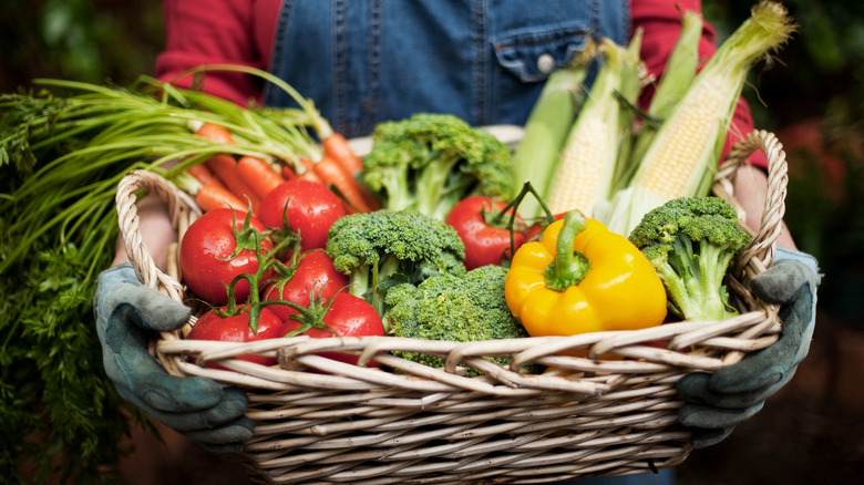 person holding basket of vegetables