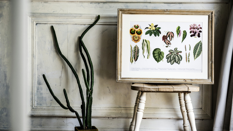 Framed botanical print leaned on a stool against the wall