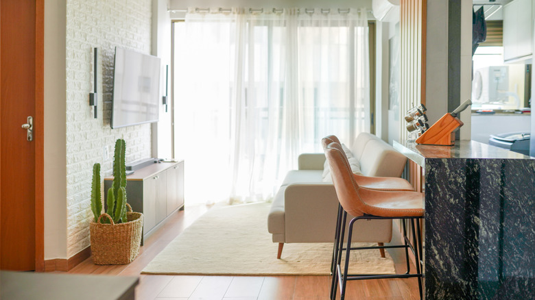 A shot looking into the interior of a small modern living room furnished with only a large rug, a sofa, a TV stand and a cactus plant