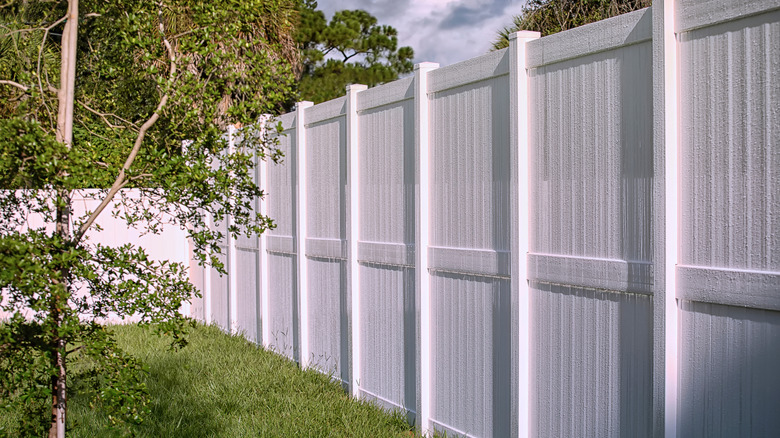 A white vinyl fence surrounds a grassy yard planted with small tree.
