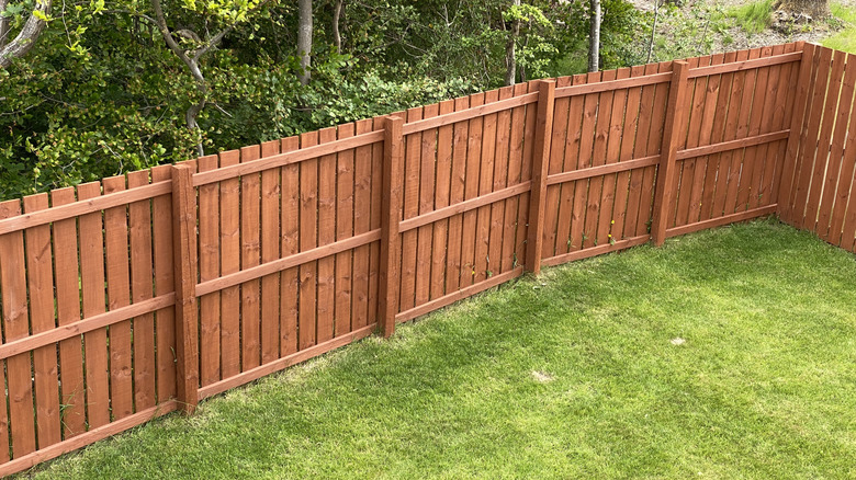 A wood fence surrounds a backyard with a neat lawn and shrubs in the background.