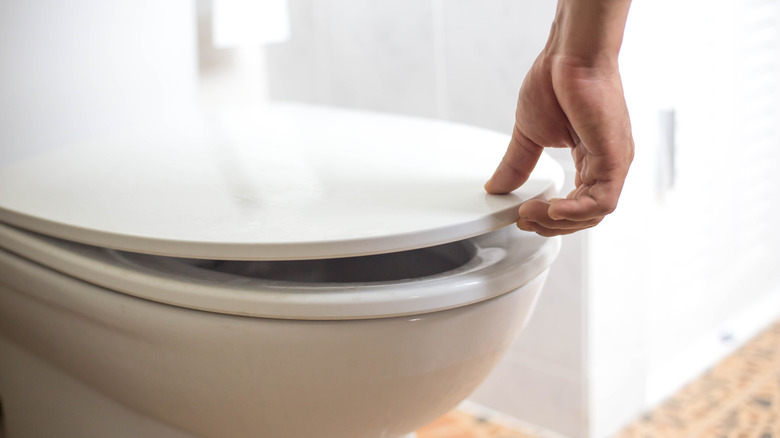 hand opening toilet lid