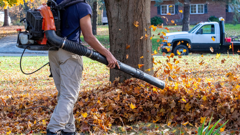 A man clears leaves with a gas powered blower