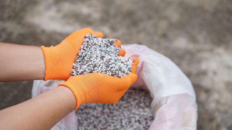 two hands scoop fertilizer out of a bag