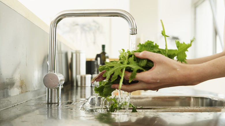 Person washing greens under kitchen faucet