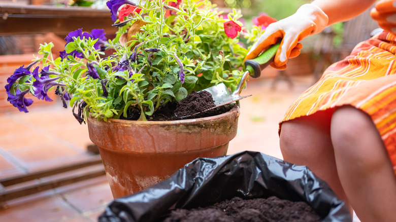filling a large pot with soil