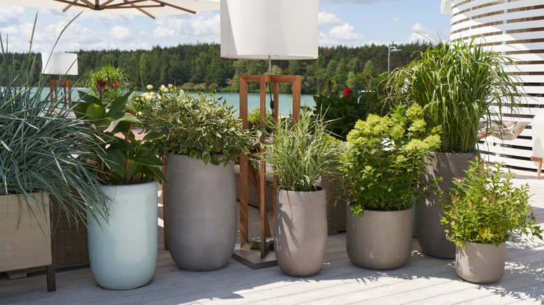 large garden planters on a deck