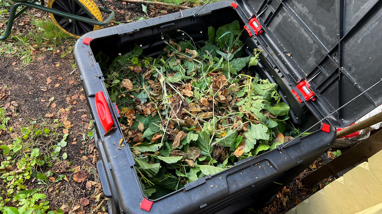 An open compost bin