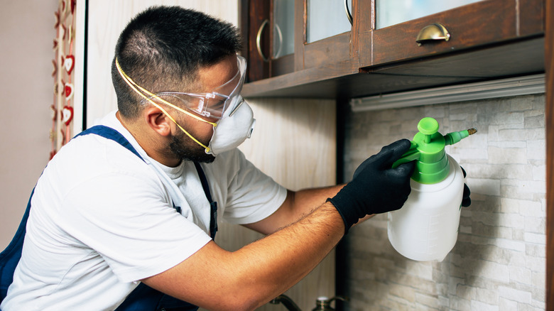 Person spraying pesticides in house
