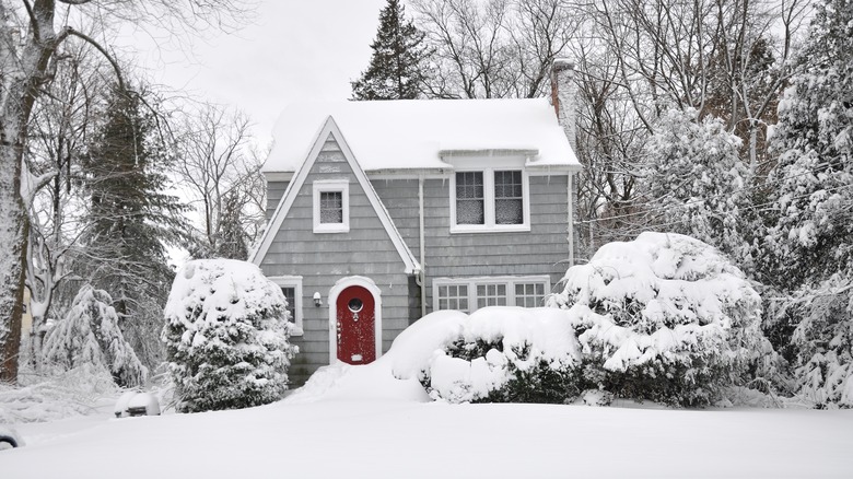 house covered in snow 