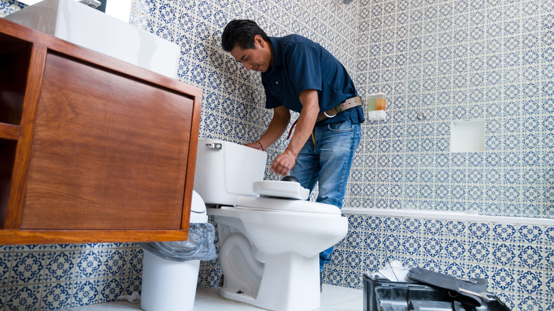 Person inspecting toilet