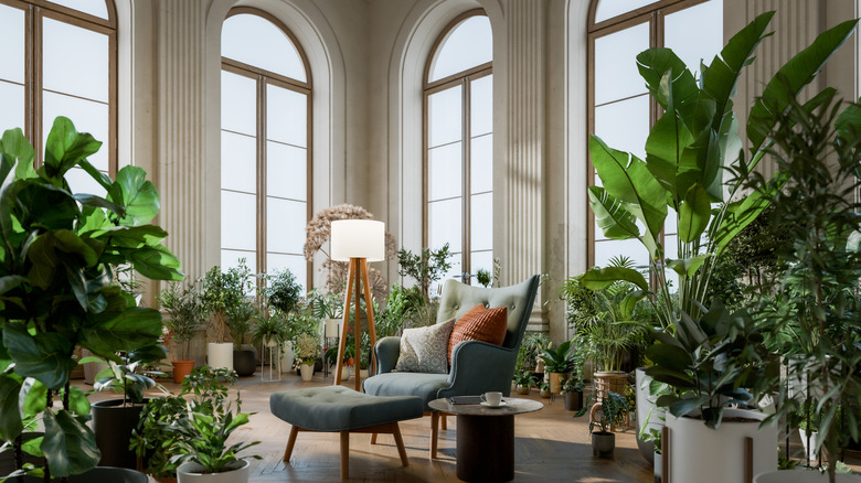 Living room with large windows filled with houseplants