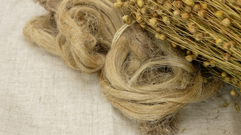 linen fibers and pods on top of linen fabric
