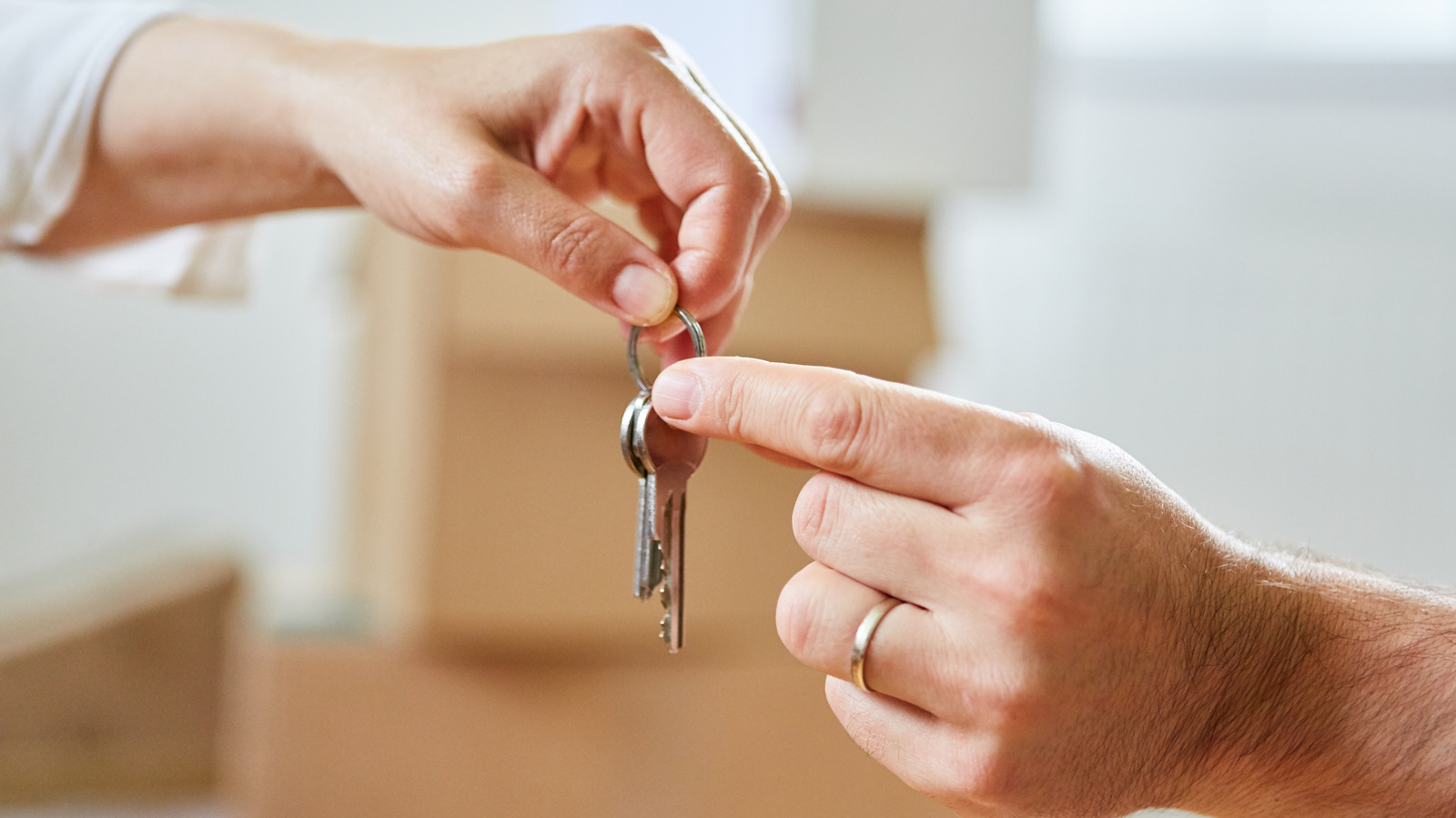 Condo Vs. House Which Option Is Best For You?