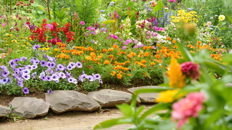 A garden filled with colorful flowers