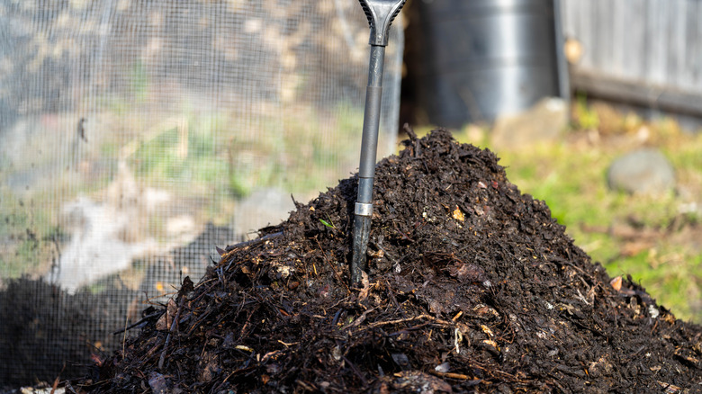 pile of compost