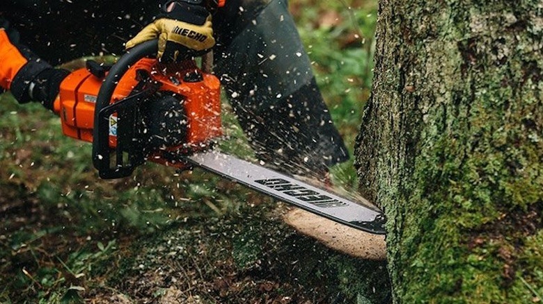 The Echo CS-590 gas-powered chainsaw in use