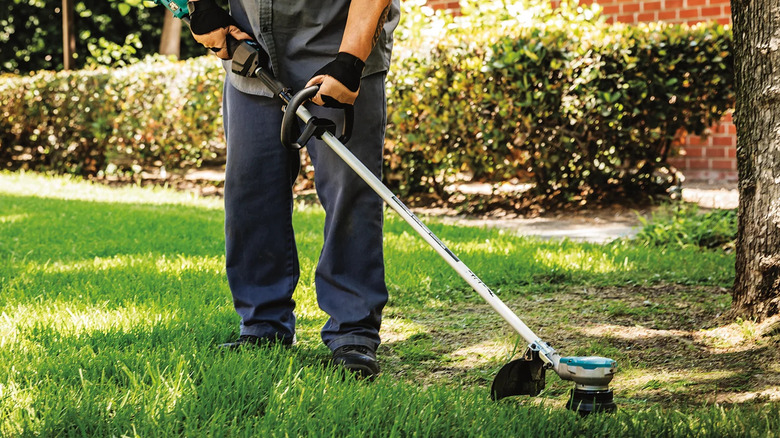a person using the Makita XRU15PT string trimmer near a tree