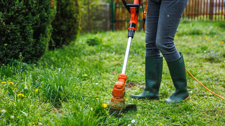 a woman cutting grass at backyard using a string trimmer