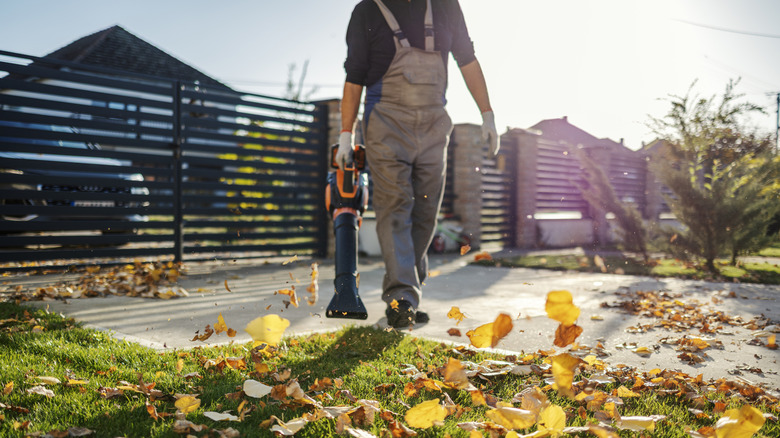 Person in overalls using a handheld leaf blower to blow yellow leaves off of a driveway and grass