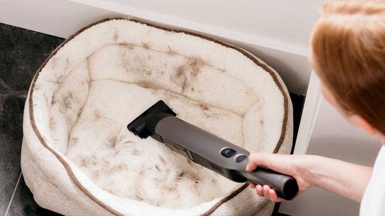 Person using a Shark handheld vacuum to clean pet hair from a pet bed