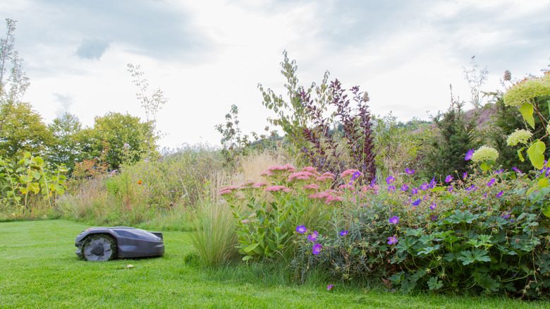 flower bed and lawn with robotic lawn mower