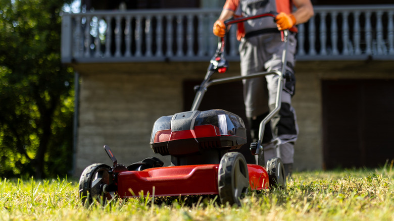 A man mowing a lawn with a red cordless lawn mower in front of a wooden house