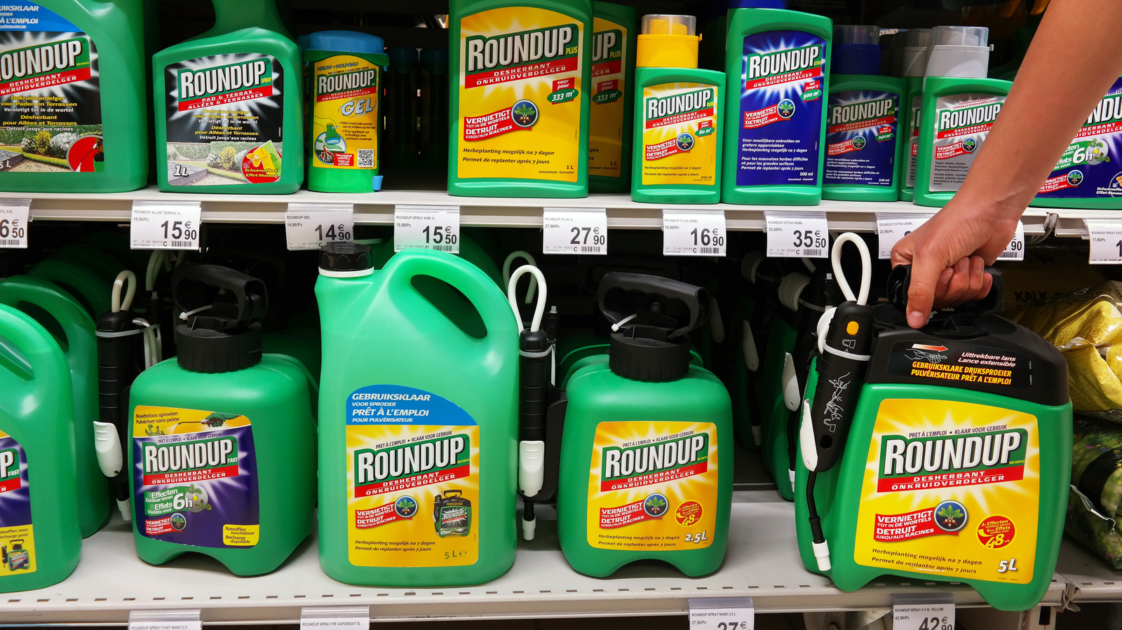 Contact Vs Systemic Herbicide: Which Is Better For Stopping Weed Growth?