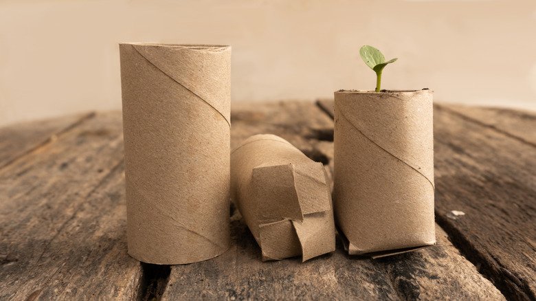 A toilet paper roll and two toilet paper roll pots on a wood table.