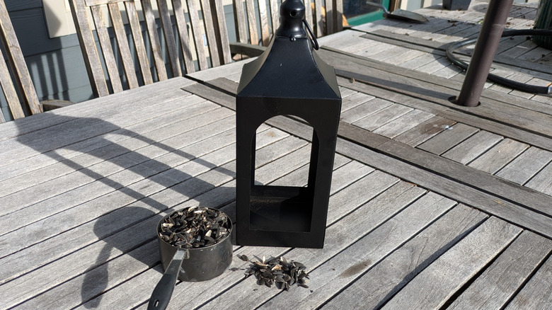 We Turned A Dollar Tree Lantern Into A Platform Bird Feeder And Made A Few Friends
