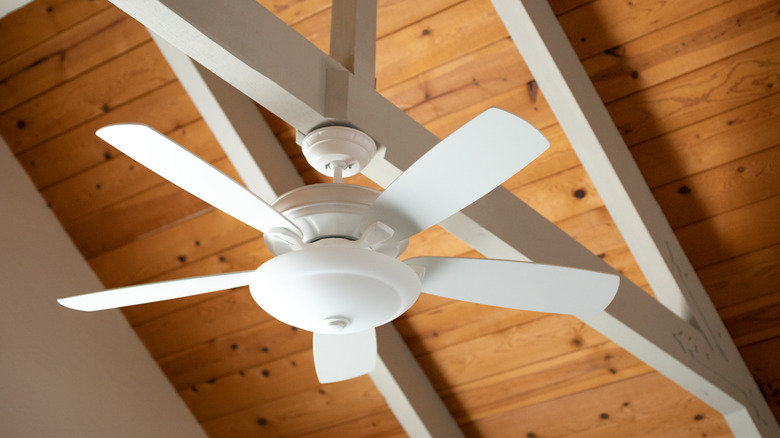 Ceiling fan