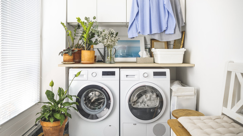 An appealing but slightly cluttered laundry room