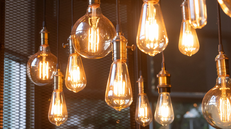 A variety of different LED light bulbs