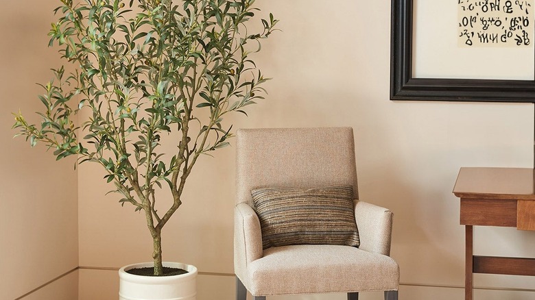 Artificial olive tree in white planter
