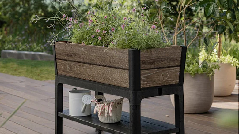 A raised garden bed filled with purple flowers, with a watering can and a basket sitting on its lower tier
