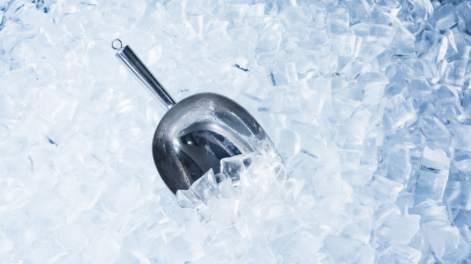 Costco's Most Popular Ice Makers (And Which Brand Has The Best Reviews)