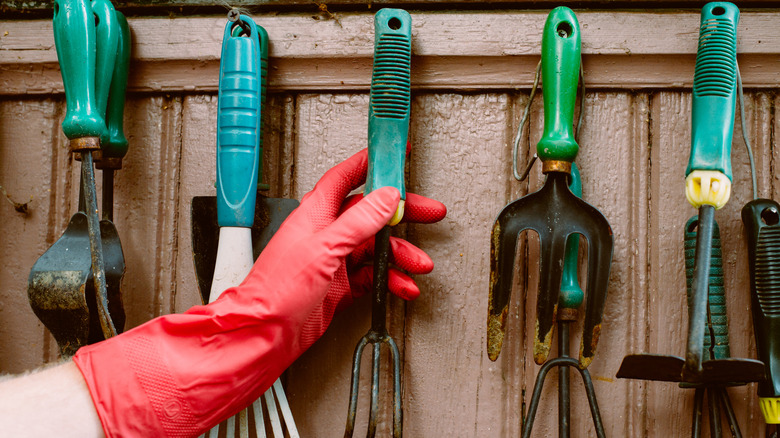 person grabbing organized garden tools