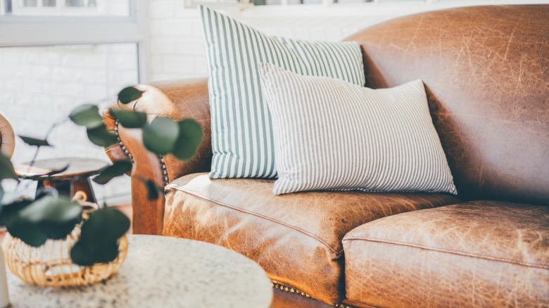 Brown rolled arm leather sofa with striped accent pillows in front of round coffee table with plant