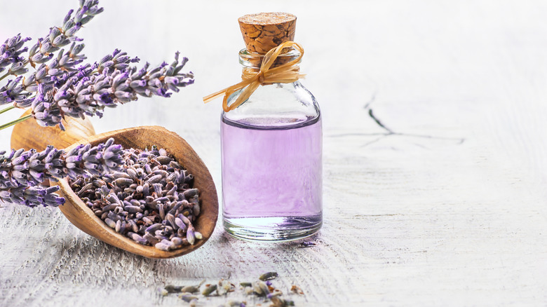 Lavender essential oil