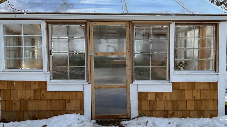 Photo of a shed turned into a greenhouse