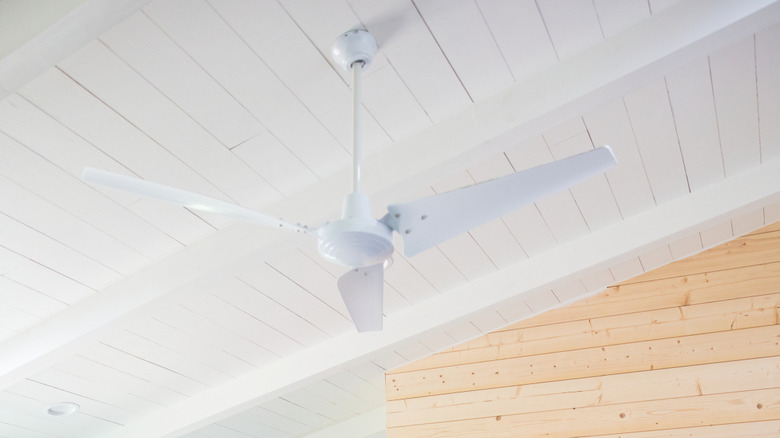 White wood paneling on a ceiling. A ceiling fan hangs down.