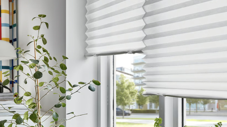 IKEA's SCHOTTIS pleated shades covering window in home