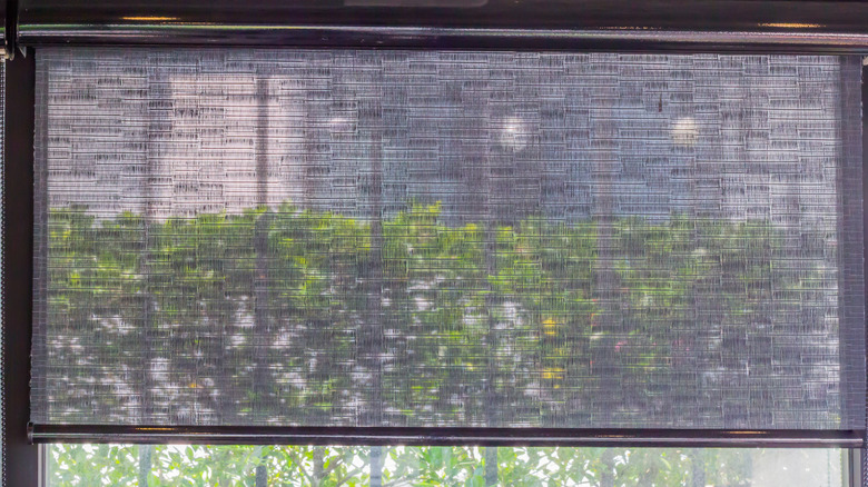 See-through roller shades covering a large window or sliding glass door